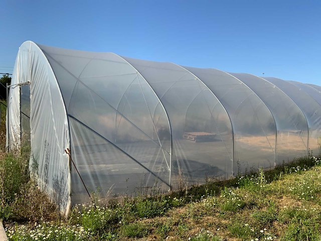 80m1 modulaire kweektent - afbeelding 1 van  15