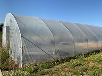 80m1 modulaire kweektent - afbeelding 1 van  15