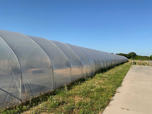 80m1 modulaire kweektent - afbeelding 8 van  15