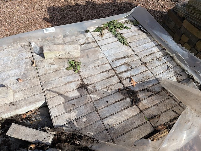 845x straatstenen ca. 19.6x6.2x4.8 cm - afbeelding 2 van  5