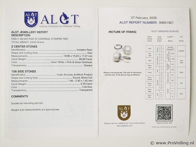 86.78ct earrings - afbeelding 7 van  7