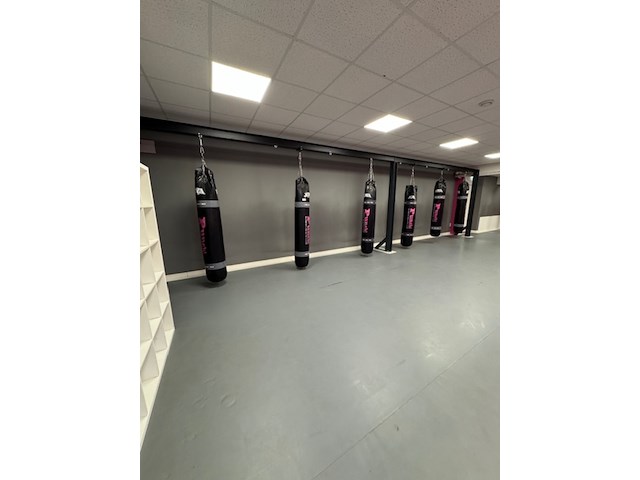 8x bokszak joya, zwart - afbeelding 1 van  6