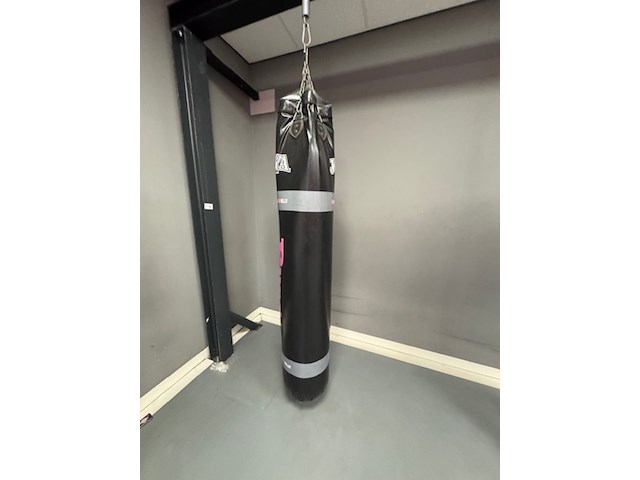 8x bokszak joya, zwart - afbeelding 2 van  6