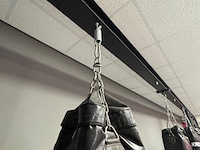 8x bokszak joya, zwart - afbeelding 4 van  6