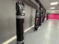 8x bokszak joya, zwart - afbeelding 5 van  6