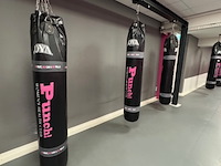 8x bokszak joya, zwart - afbeelding 6 van  6