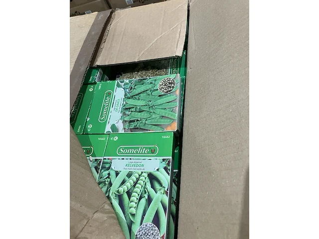 8x dozen groentezaden - afbeelding 4 van  7