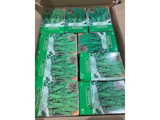 8x dozen groentezaden - afbeelding 5 van  7