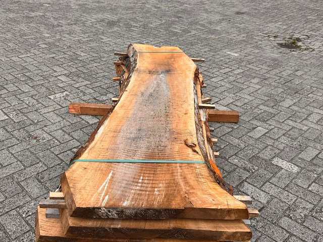 8x europees noten stam gezaagd, 52x59mm, lengte 175cm - afbeelding 1 van  3
