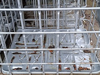 8x ibc kooi - afbeelding 2 van  8