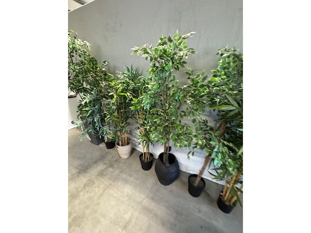 8x kunstplant - afbeelding 3 van  6