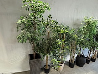 8x kunstplant - afbeelding 4 van  6