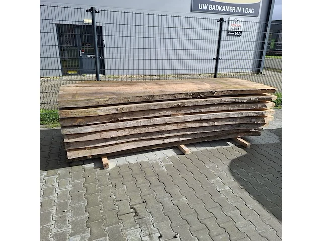 8x massieve boomstambladen, winddroog, 2025 - afbeelding 1 van  7