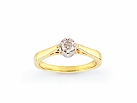 9 kt geelgouden ring met natuurlijke diamant