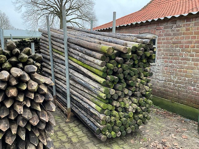 Ø 90 mm weide/tuinpalen - afbeelding 1 van  5