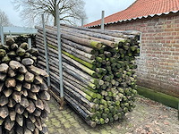 Ø 90 mm weide/tuinpalen - afbeelding 1 van  5