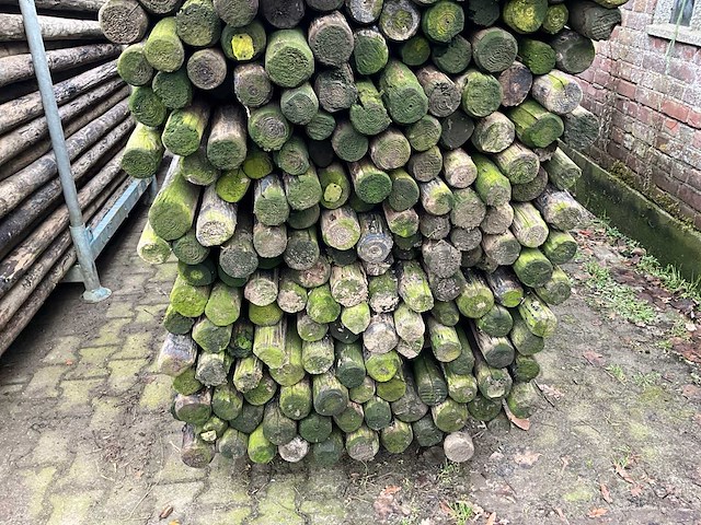 Ø 90 mm weide/tuinpalen - afbeelding 3 van  5