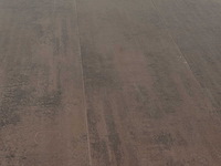 94 m2 laminaat plank watervast - 1290 x 329 x 8 mm - afbeelding 1 van  4