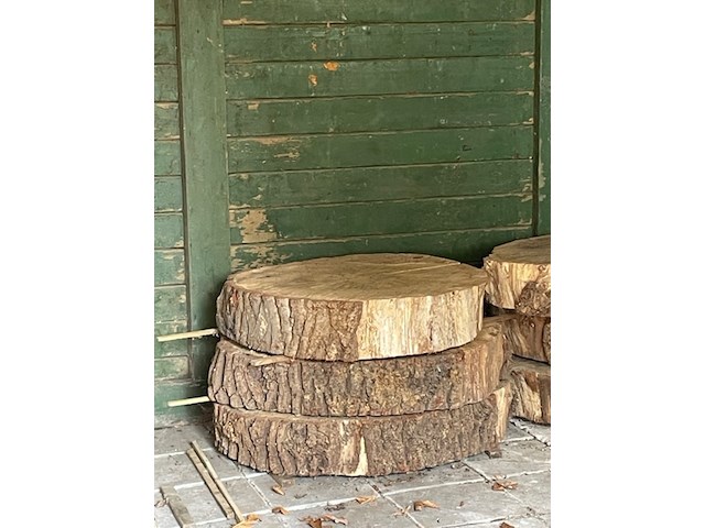 9x eikenhouten schijf - afbeelding 1 van  3