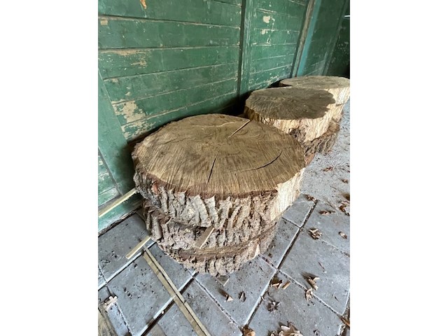 9x eikenhouten schijf - afbeelding 3 van  3