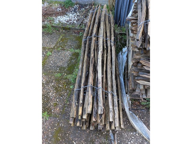 9x rol kastanjehekwerk - afbeelding 8 van  8