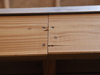 Aanbouw veranda (douglas) - 810x330x258cm - afbeelding 15 van  29