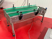 Aangedreven rvs transportband - afbeelding 4 van  8