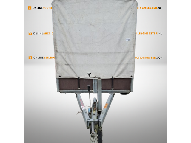 Aanhanger, saris, f3020, 1999 - afbeelding 2 van  8