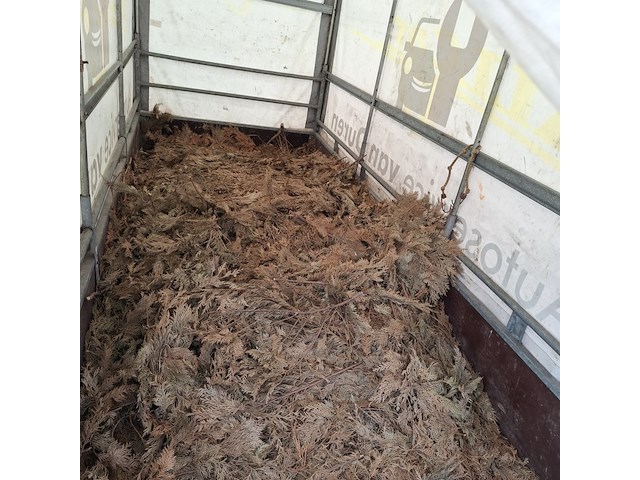 Aanhanger, saris, f3020, 1999 - afbeelding 6 van  8