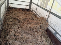 Aanhanger, saris, f3020, 1999 - afbeelding 6 van  8