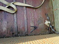 Aanhangwagen, saris , 5kn - afbeelding 27 van  38