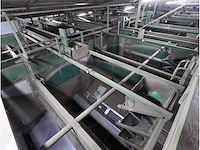 Aardappel intake/was en sorteerlijn - afbeelding 7 van  48