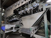 Aardappel intake/was en sorteerlijn - afbeelding 9 van  48