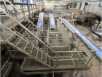 Aardappel intake/was en sorteerlijn - afbeelding 16 van  48