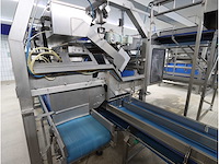 Aardappel sorteerlijn - afbeelding 15 van  16