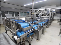 Aardappel sorteerlijn