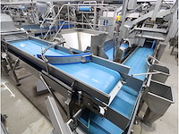 Aardappel sorteerlijn - afbeelding 7 van  16