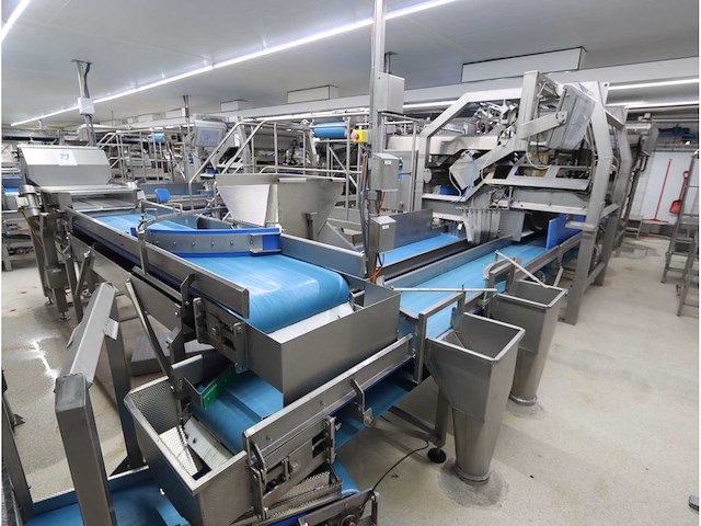 Aardappel sorteerlijn - afbeelding 1 van  16