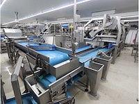 Aardappel sorteerlijn - afbeelding 1 van  16