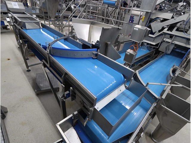 Aardappel sorteerlijn - afbeelding 9 van  18