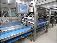 Aardappel sorteerlijn - afbeelding 16 van  20