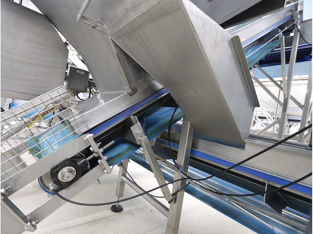 Aardappel sorteerlijn - afbeelding 3 van  18