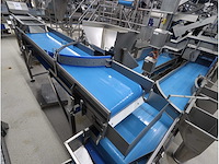 Aardappel sorteerlijn - afbeelding 9 van  18