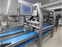 Aardappel sorteerlijn - afbeelding 13 van  18