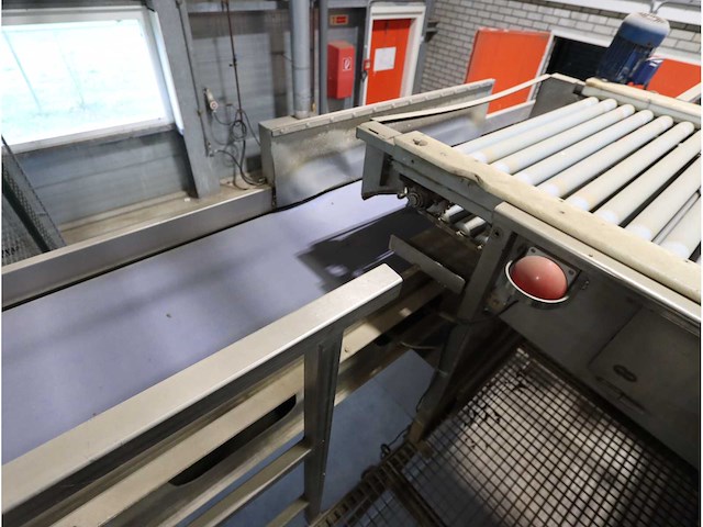 Aardappelwaslijn - afbeelding 4 van  16