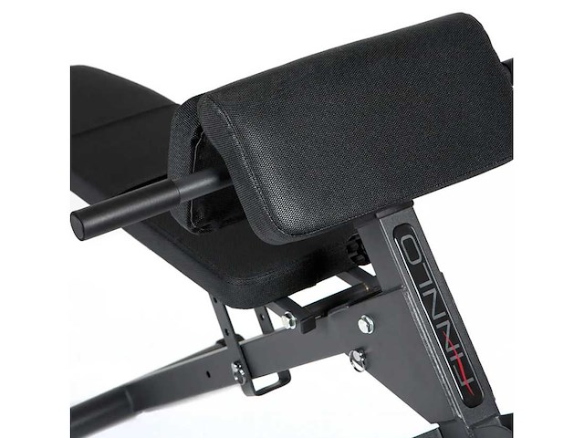 Ab&back trainer - buiktrainer - afbeelding 3 van  14