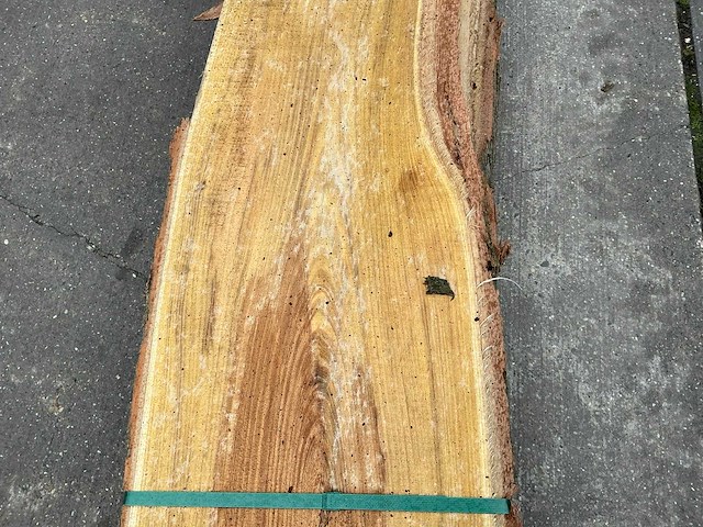 Acacia (0,400 m3) - afbeelding 6 van  10