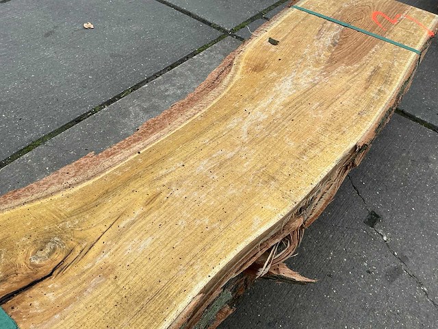 Acacia (0,400 m3) - afbeelding 9 van  10