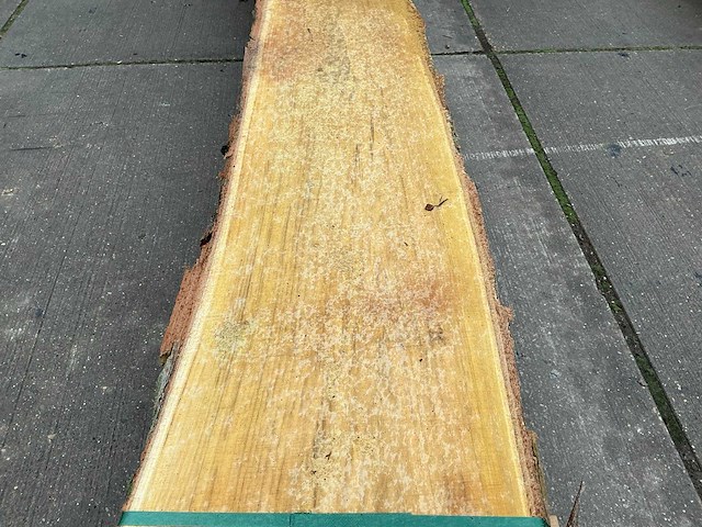 Acacia (0,531 m3) - afbeelding 6 van  10