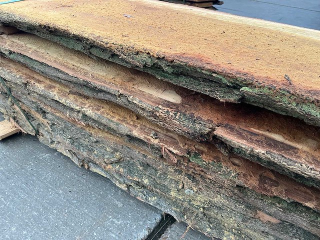 Acacia (0,531 m3) - afbeelding 10 van  10